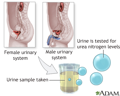 Nitrogen test