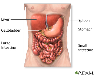 Abdominal exploration - series