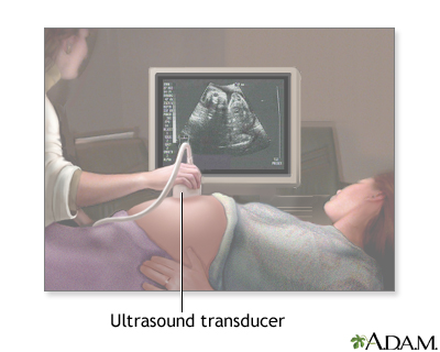 Prenatal ultrasound - series - Procedure, part 1