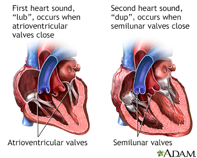 Heart beat