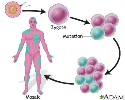 Mosaicism