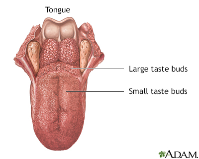 Tongue