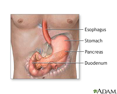 Secretin stimulation test