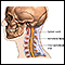 Spinal surgery - cervical - series