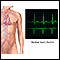 Normal heart rhythm