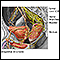 Nerve supply to the pelvis