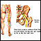 Sciatic nerve