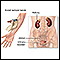 Kidney function tests