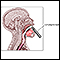 Laryngoscope